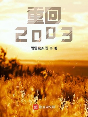 重回2003